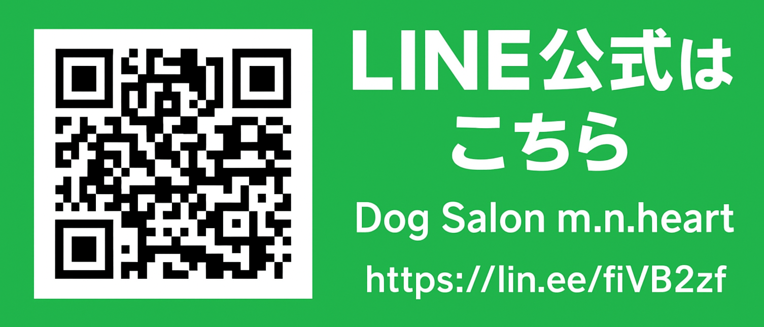LINE公式はこちら